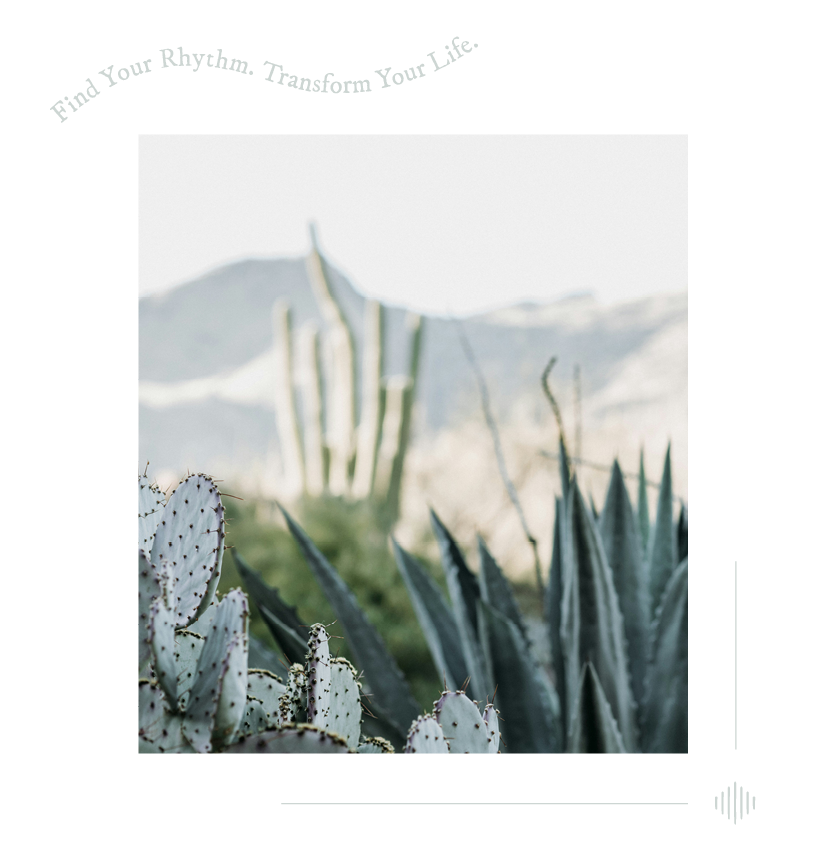 Find Your Wellness Solution in Tucson